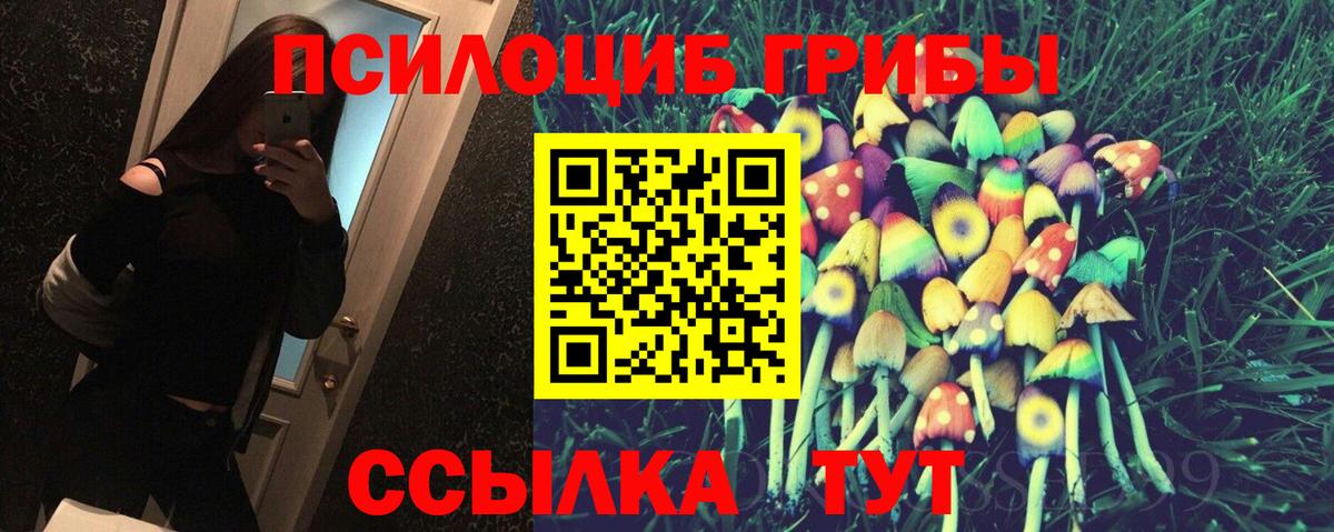 Трёхгорный  Галлюциногенные грибы Cubensis  Вход с VPN 