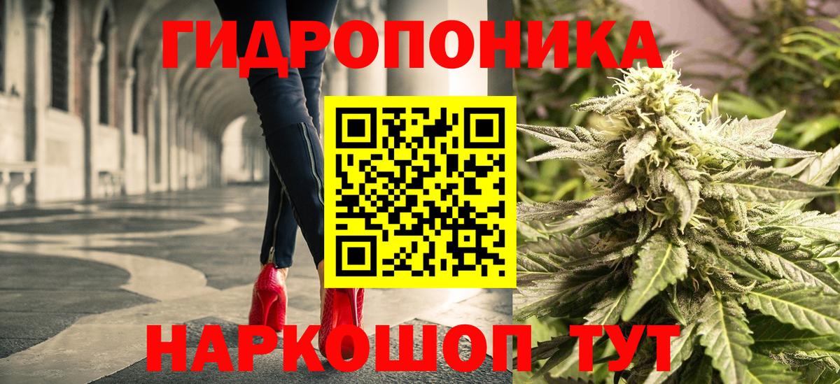 Каннабис индика  Каннабис индика  Трёхгорный  Вход с VPN  Шишки марихуана гибрид 